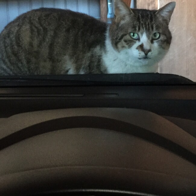 shou216のカバー写真
