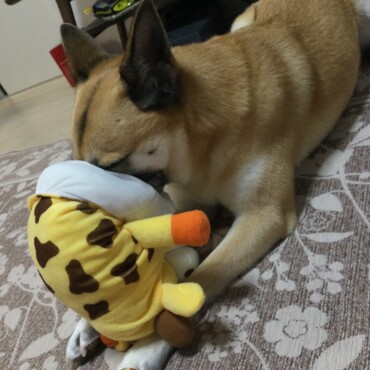 もうやめなさいって