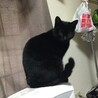 トミー0314さん