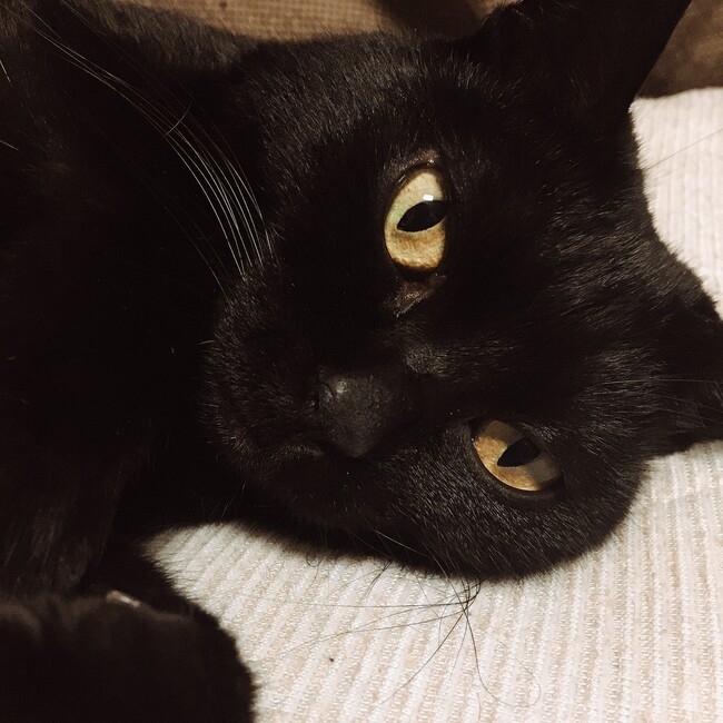 トミー0314のカバー写真