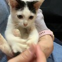 2か月甘えん坊