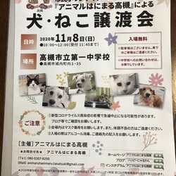 アニマルはにまる高槻による犬・猫譲渡会