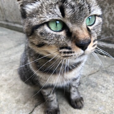 の写真