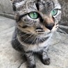 の写真