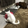 ご飯一緒に食べれるようになりました