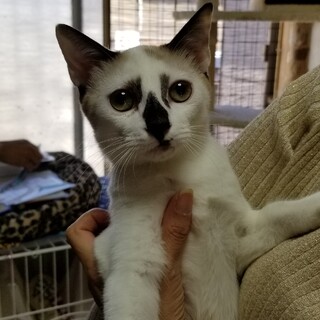 個性的なお顔でーす❣️