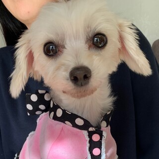 幸せになりました⭐︎ありがとうございました