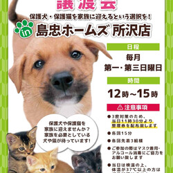 保護犬 保護猫 譲渡会inホームズ所沢店