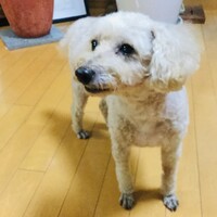 純くん