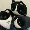 ねこみやいぬい
