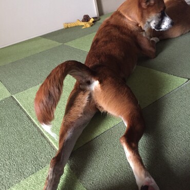 の写真