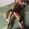 の写真