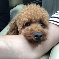 蘭丸