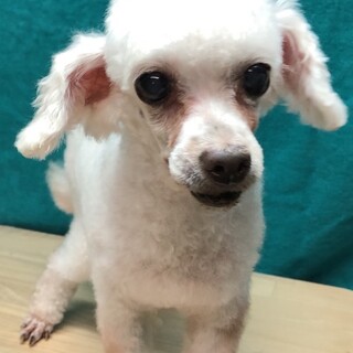☆❣️家族が決まりました❣️☆