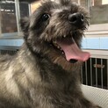 ☆❣️家族が決まりました❣️☆