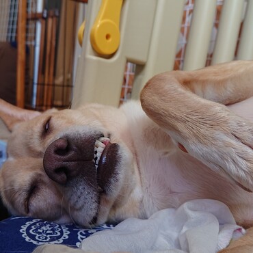 銀太兄さん。。お疲れ様☆ありがとね♪