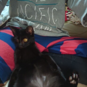 チャム姫☆母ちゃんの寝相に似てきたね♪