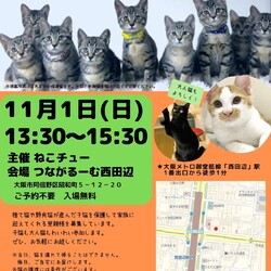 ねこチュー第4回猫の譲渡会