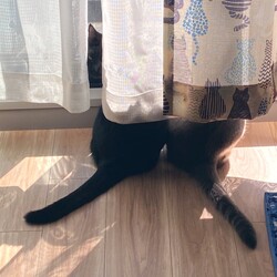 「最近の悩み」サムネイル3