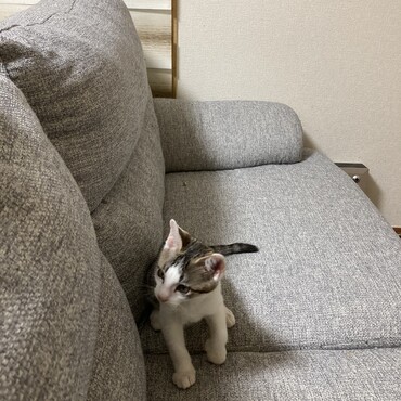 の写真
