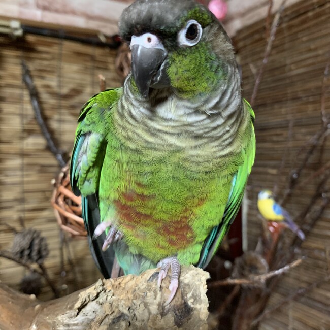 色とりどりのカバー写真