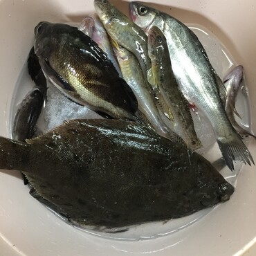 釣り好きな先代の子に安全豊漁祈願したら爆釣！海も秋冬物になりました(^_^)