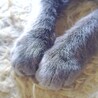 lovegoma
