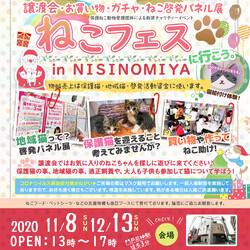 『〜にゃんだらけの部屋へようこそ〜ねこフェスin西宮11月12月』