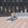 保護した瞬間
