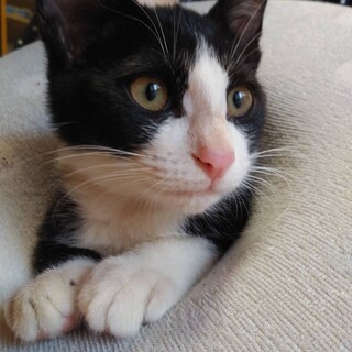 人馴れしていて元気いっぱい!