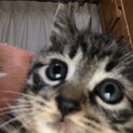 2ヶ月半の元気いっぱいな子