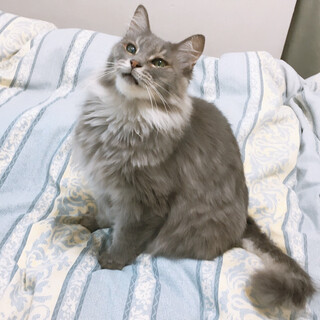 ”うるる"1歳半