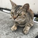 甘えん坊の子です！