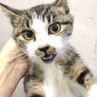 まだあどけなさの残る小柄な男の子