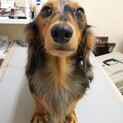 甘えん坊で元気一杯な男の子★ラウル