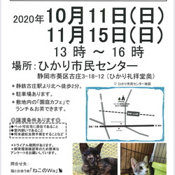 ねこのWa猫譲渡会　静岡市