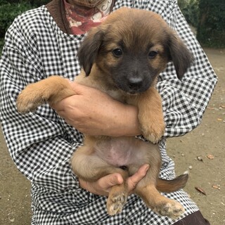 黒いお鼻とクリクリお目めの女の子