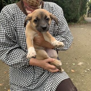 遊ぶの大好き元気いっぱいの女の子ー