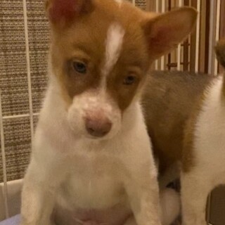 少しシャイだけど、お茶目な男の子キア君