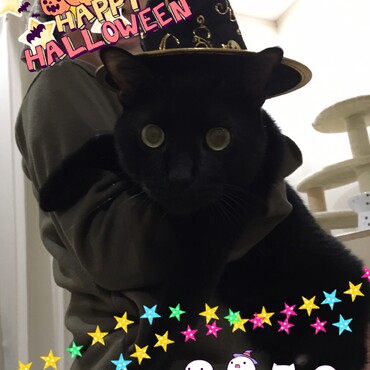 ☆Trick or Treat☆