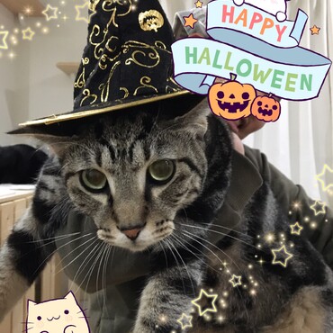 ☆Trick or Treat☆