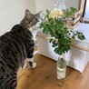はるたろう★さん