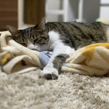 の写真