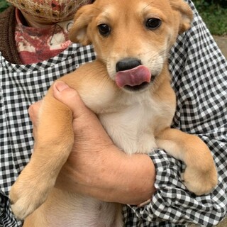 優しいお顔の女の子