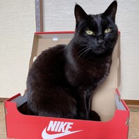 まる