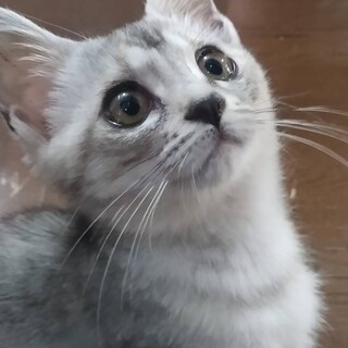 【代理投稿】可愛い女の子