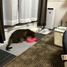 ごはん逆だよー