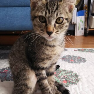 ピーピーピーちゃん❗️