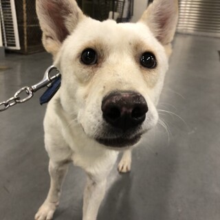 イケワンになりそうなシュウ君→相談中！