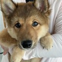 優しさと好奇心を兼ね備えた海（sea）ちゃん